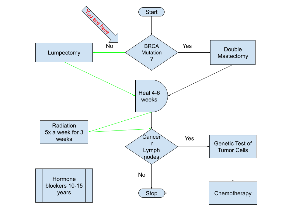flowchart describing cancer treatment plan with updated status showing treatment path surgery is a lumpectomy